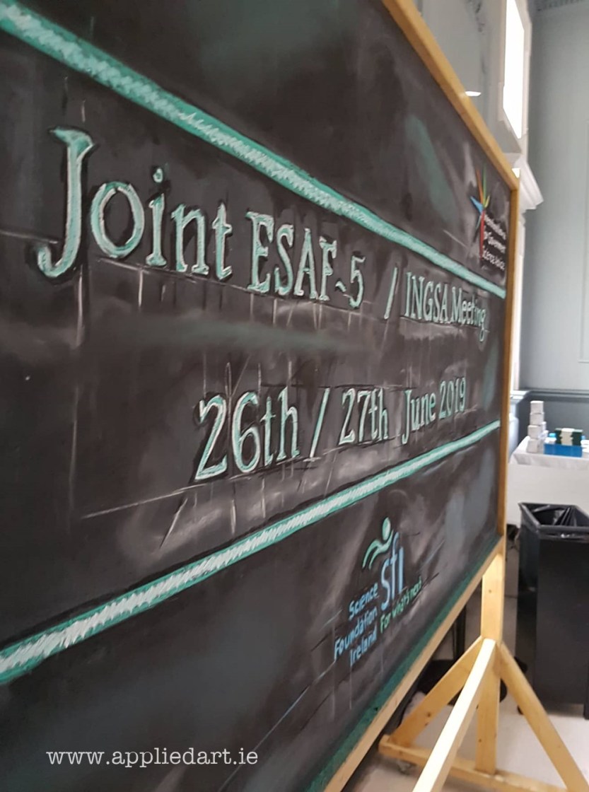 Trinity College Applied art even boards chalk art for event science logos chalk drawn klaudia byrne dublin artist murals art services event artistic ideas foer event decoration (14)